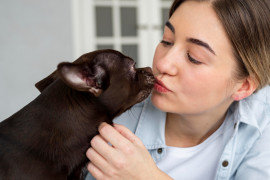 “Lambeijos” dos pets podem ser perigosos à saúde humana? “Lambeijos” dos pets podem ser perigosos à saúde humana?